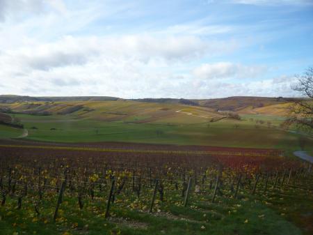 Voyage Sancerre et Pouilly novembre 2010