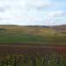 Voyage Sancerre et Pouilly novembre 2010